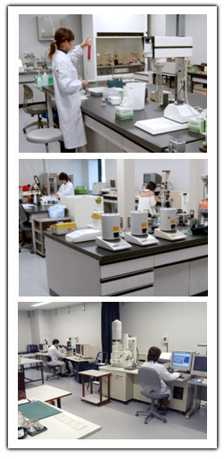 Research & Development