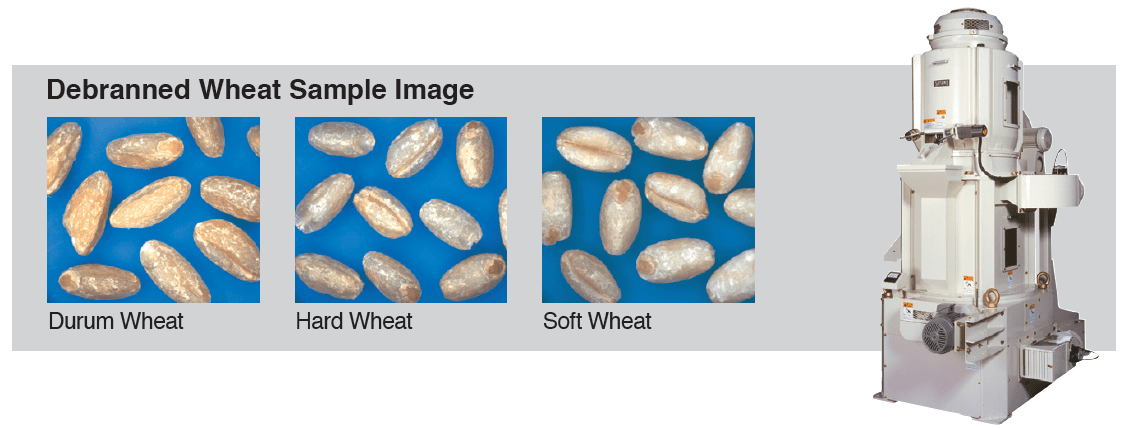 Debranned Wheat Sample Image