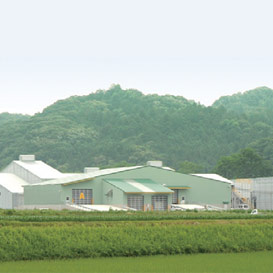 Composting Plant