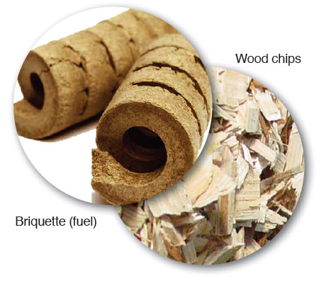 Biomass Gasification Power Generating Plant